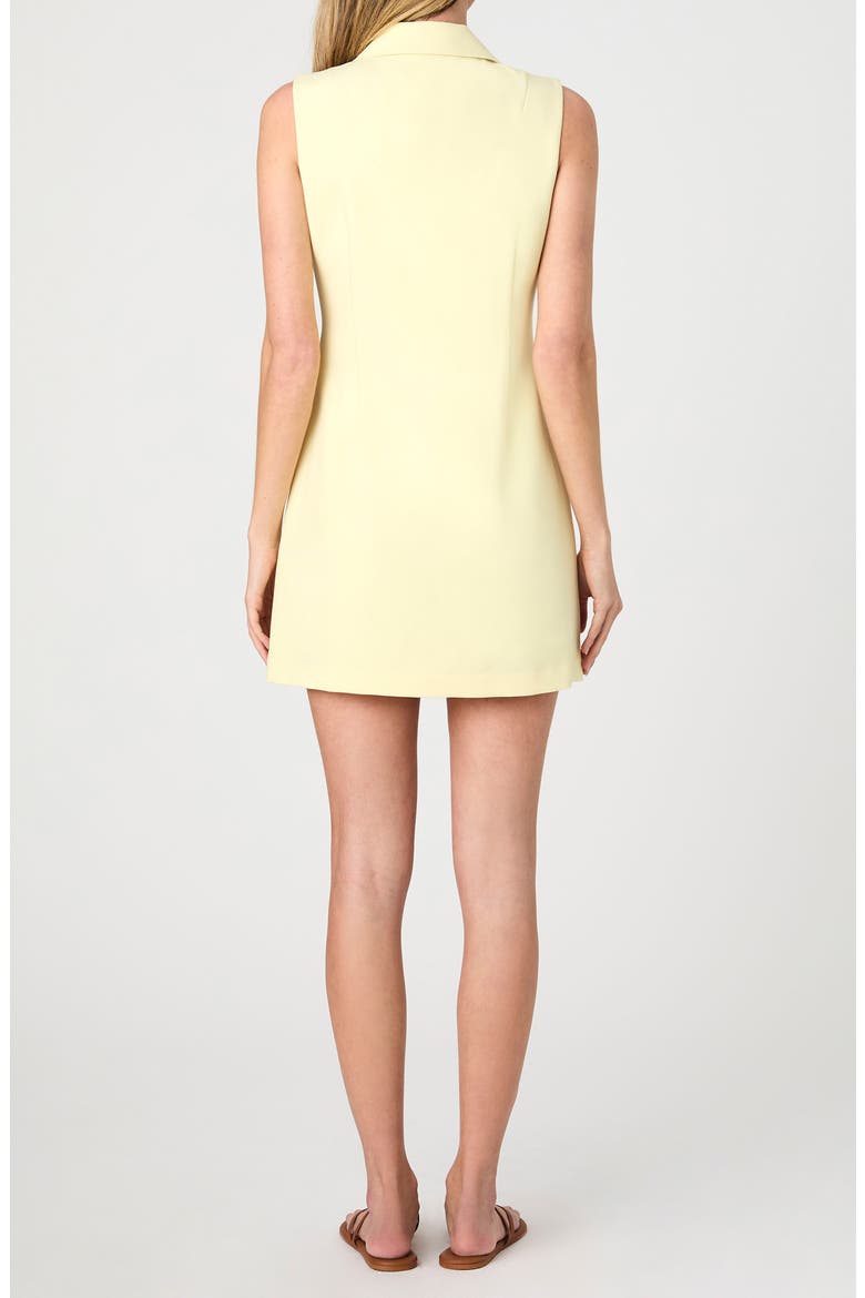 Azra Sleeveless Twill Mini Shirtdress, Alternate, color, CORNSILK YELLOW