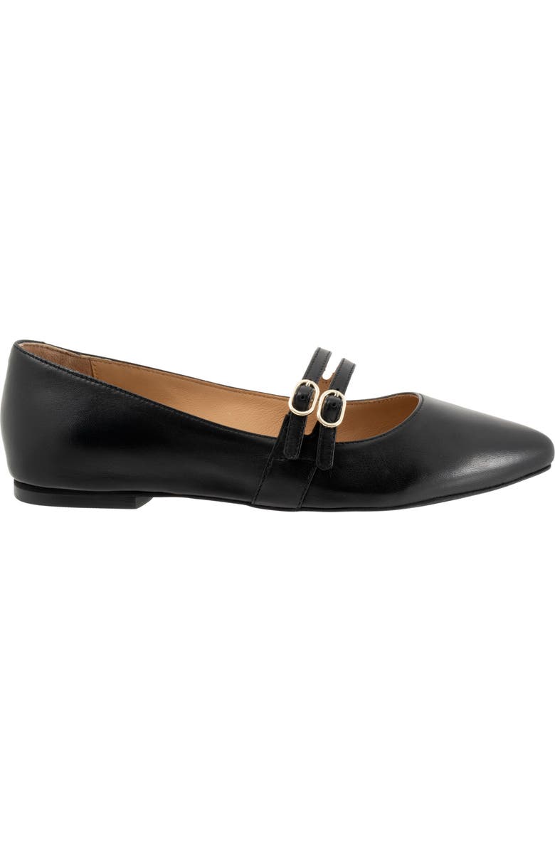 Trotters Emerald Pointed Toe Mary Jane Flat, Alternate, color, Black
