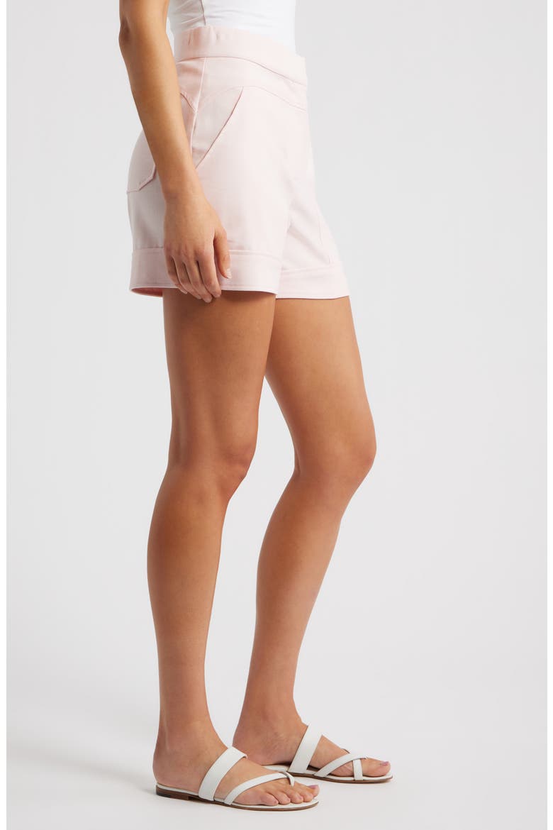 Seamed High Waist A-Line Shorts, Alternate, color, BALLET PINK