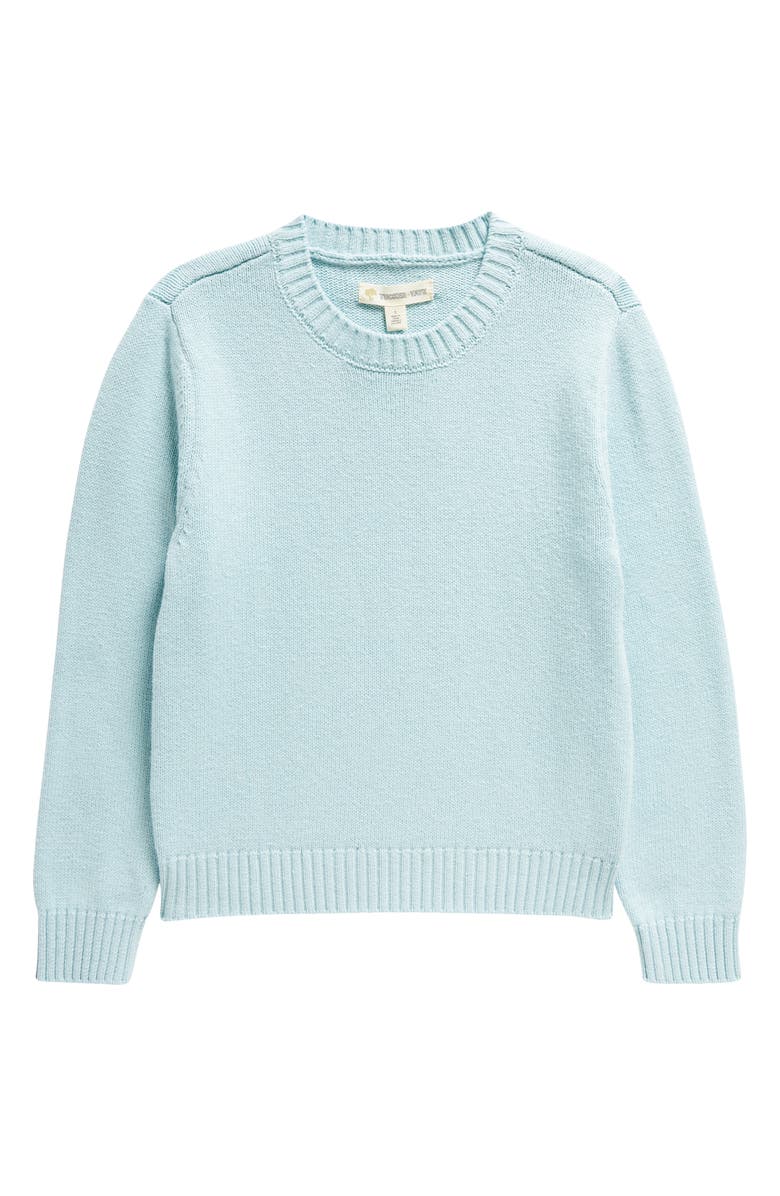 Tucker + Tate Kids' Crewneck Pullover Sweater, Main, color,