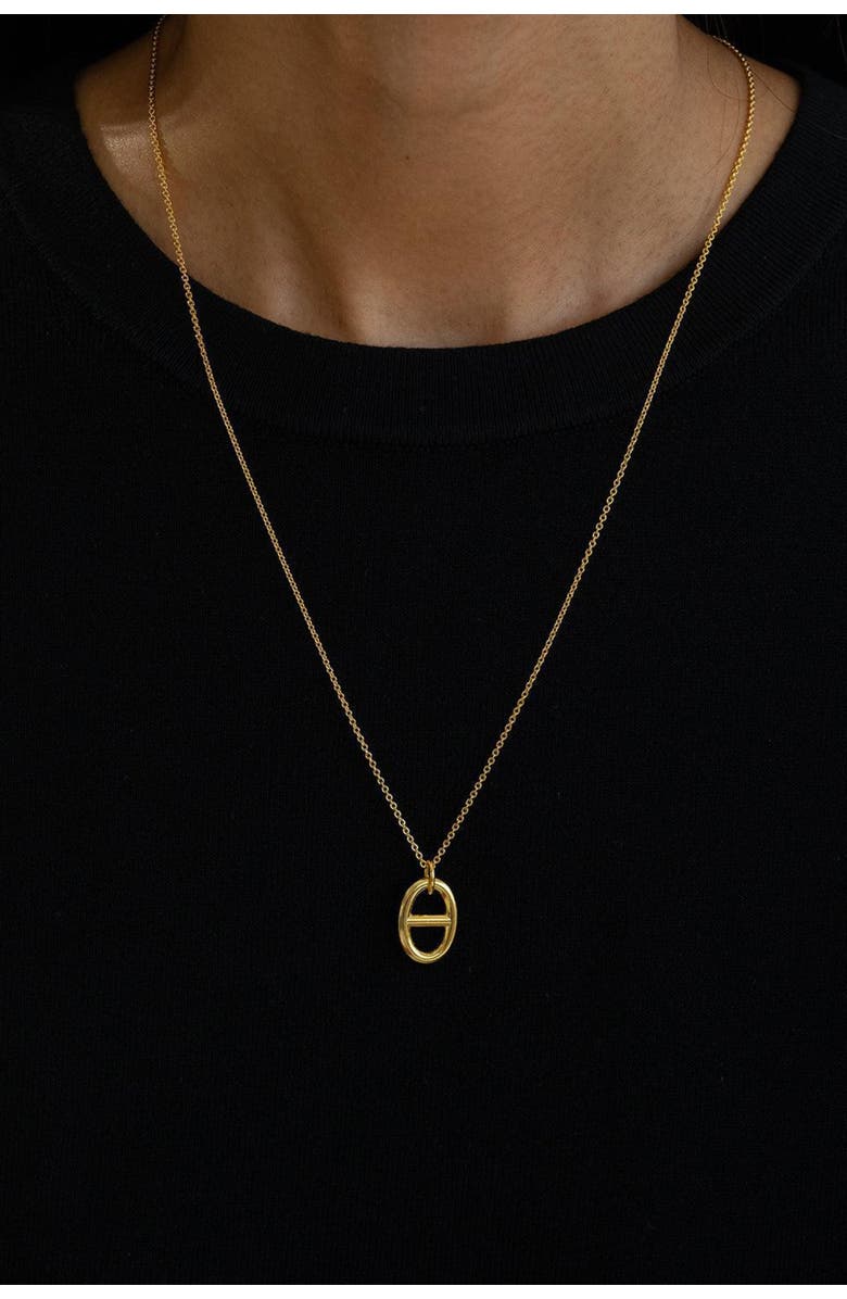 Bearfruit Jewelry Sterling Silver 18k Gold Plated Erin Circle Necklace Holiday Gift Idea, Alternate, color, Gold