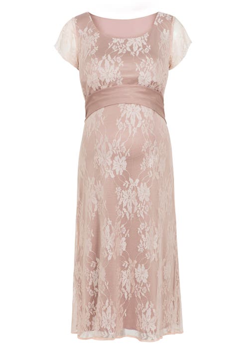 Tiffany Rose Maternity April Nursing Dress In Pink