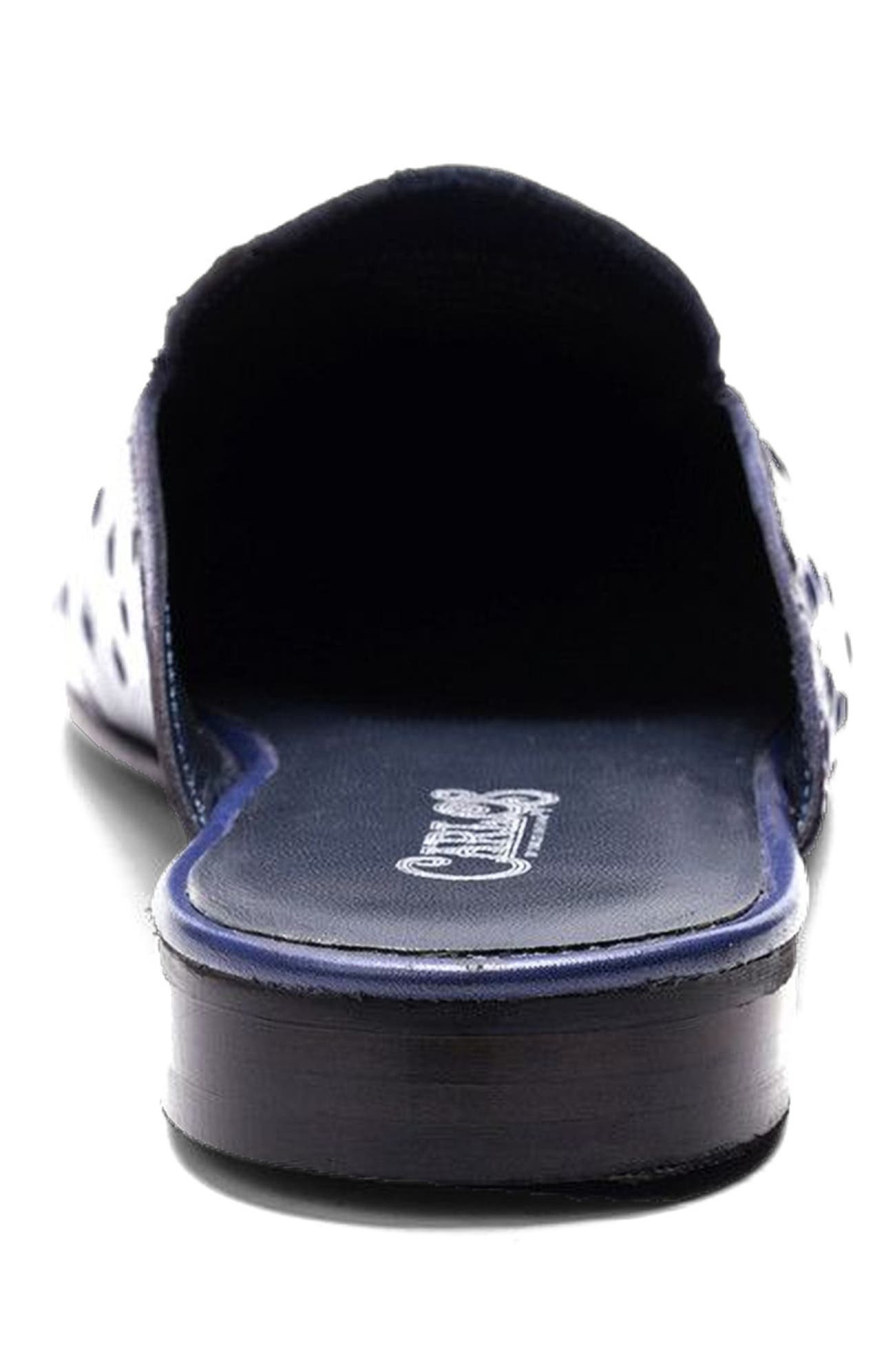 Apollo Bit Slides, Alternate, color, Blue ostrich