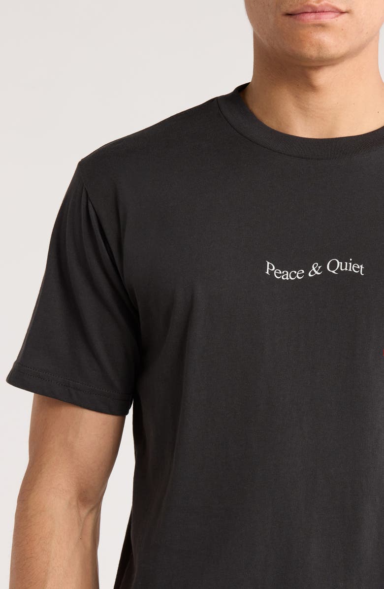 Museum of Peace & Quiet Wordmark Graphic T-Shirt, Alternate, color, 