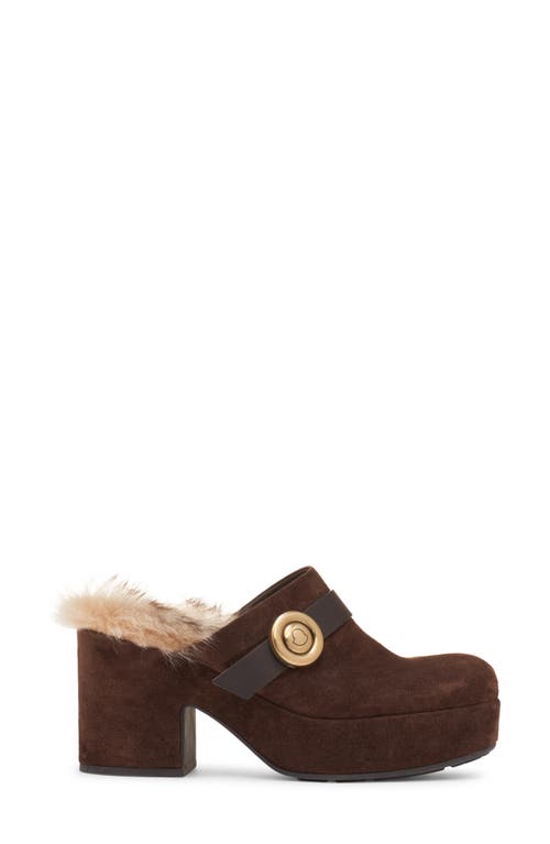 Moncler Xxmm Mule In Brown