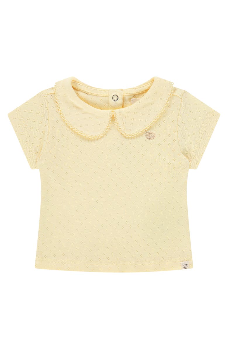 BABYFACE Pointelle Short Sleeve Collar Top, Main, color, Buttercup