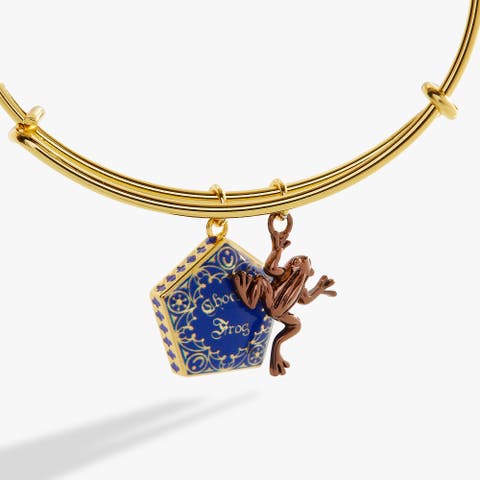 Harry Potter Chocolate Frog Two-Charm Bangle Bracelet