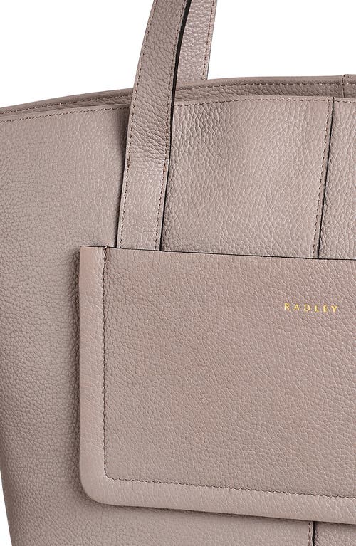Radley Sycamore Grove Tote Bag In Brown