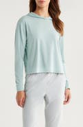 Free Fly Elevate Lightweight Performance Hoodie