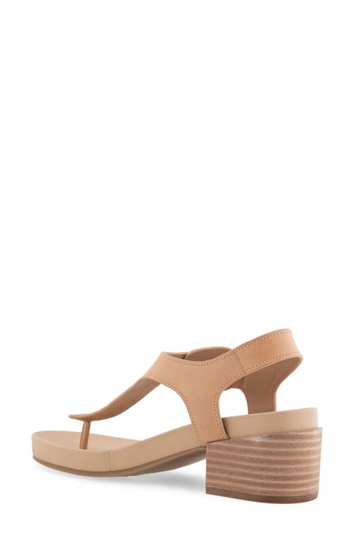 AEROSOLES AEROSOLES CALIFORNIA T-STRAP SANDAL