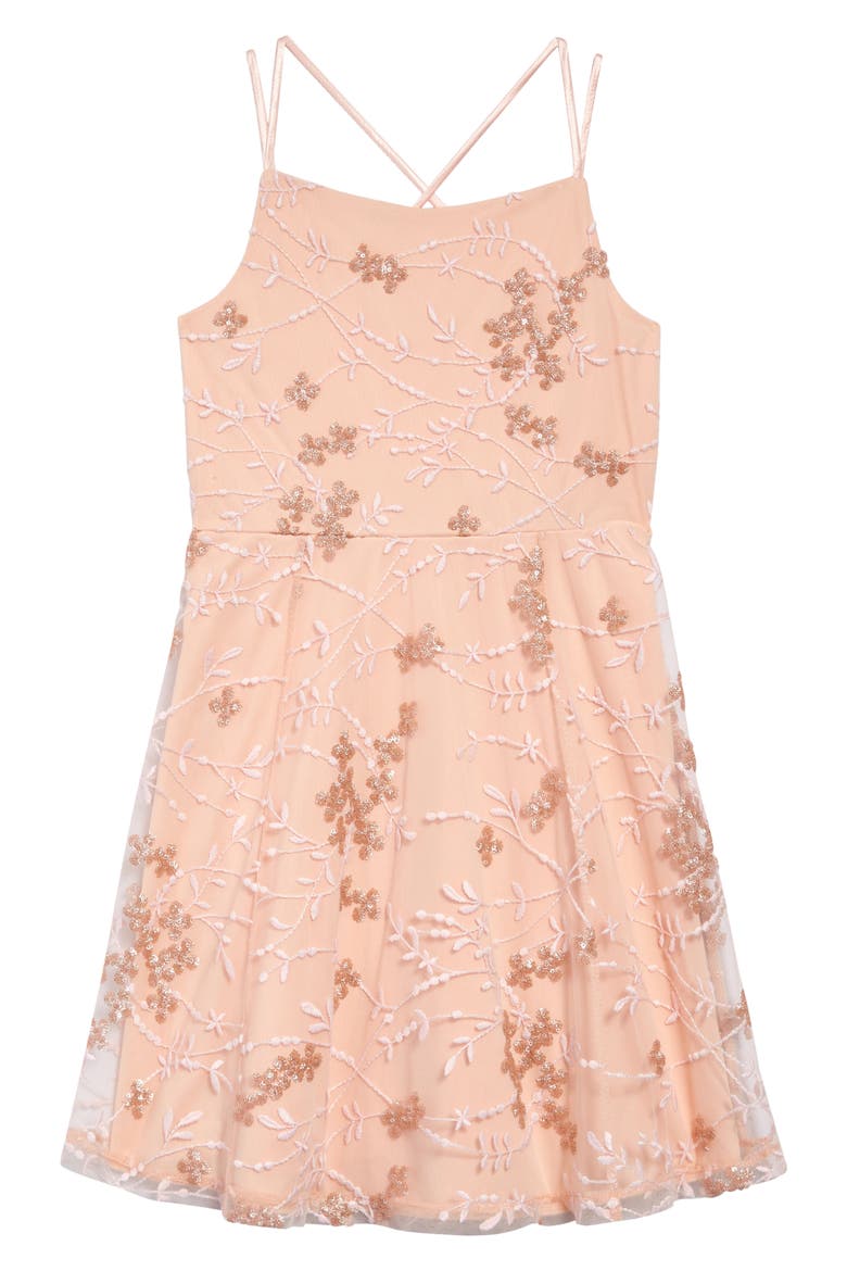 Kids' Embroidered Mesh Dress, Main, color, BLUSH