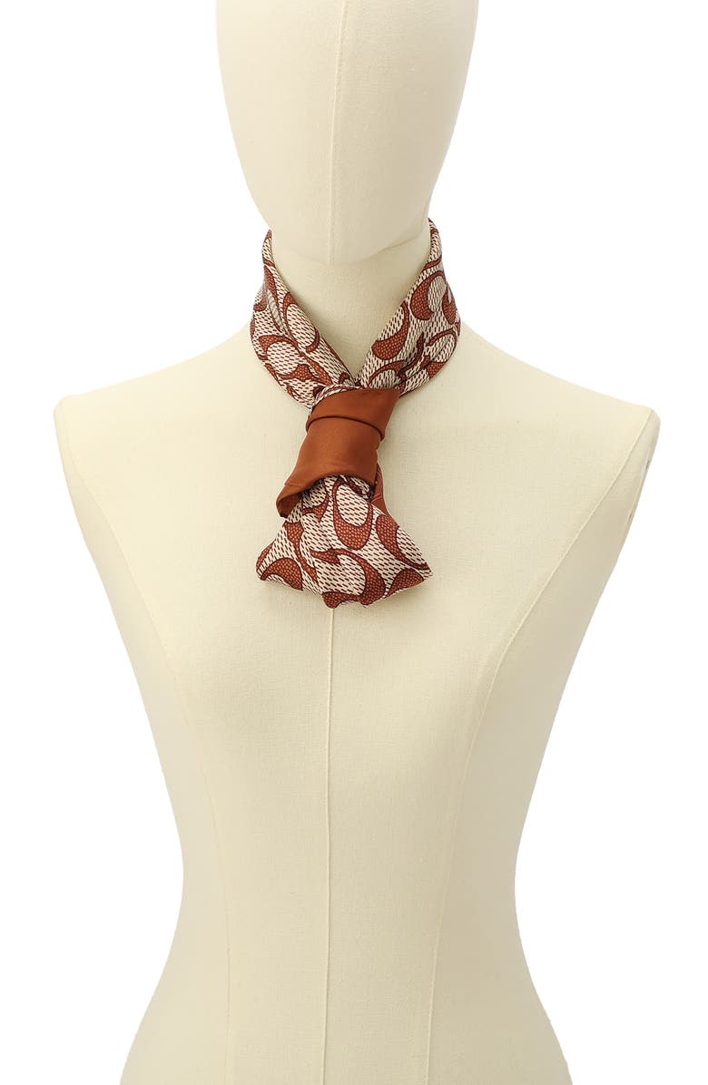 COACH Vintage Signature C Silk Scarf, Alternate, color,