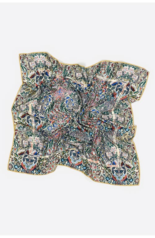 Bimba Y Lola Wallpaper Logo Frame Scarf In Multi