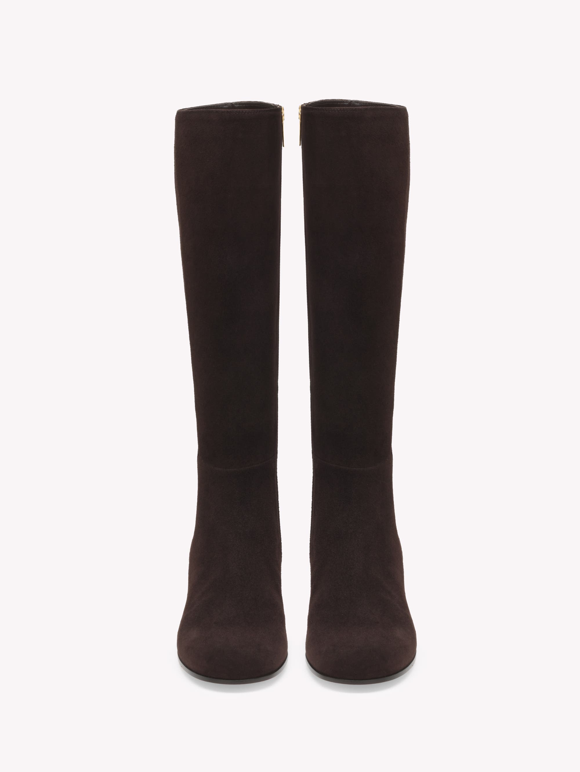 Gianvito Rossi Joelle Boot 45 Boot, Alternate, color, Brown Suede