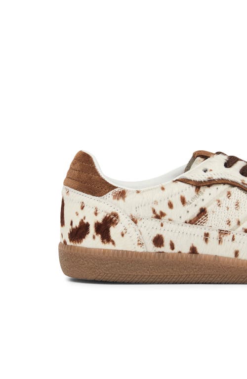 Alohas 'tb.490' Brown Low Top Sneakers With Embossed Logo On The Side And Perforated Details In Brown