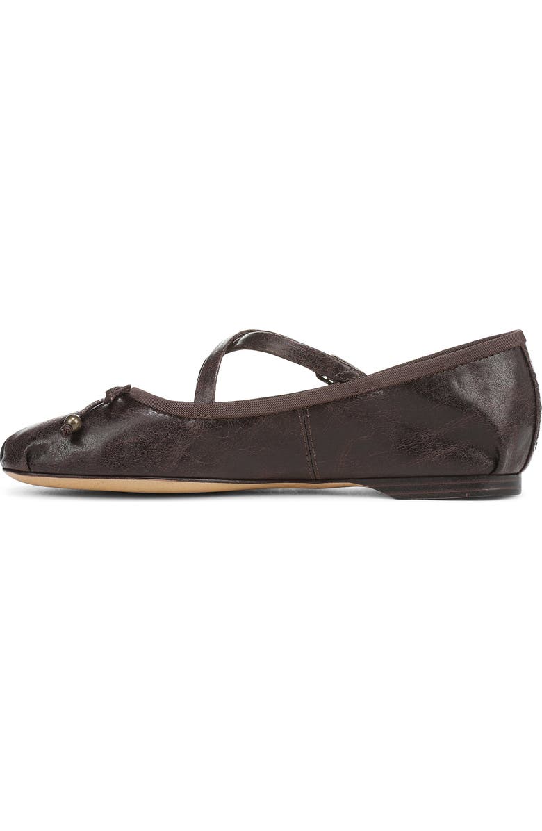 Circus NY by Sam Edelman Zuri Strappy Ballet Flat, Alternate, color, Dark Chocolate