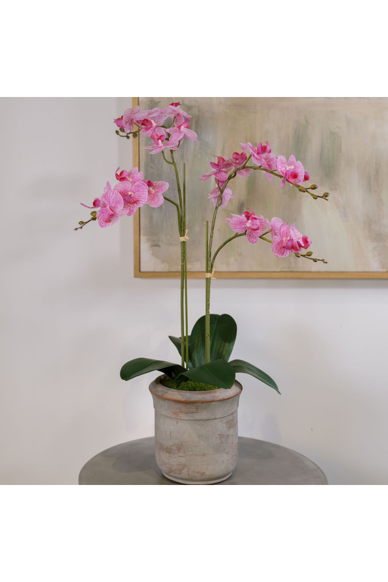 Artificial 2-Stem Phalaenopsis Pink Orchid, Alternate, color, White