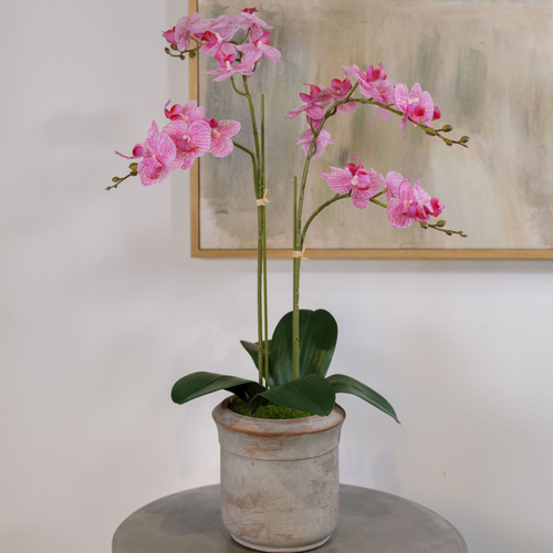 Cg Hunter Artificial 2-stem Phalaenopsis Pink Orchid In White
