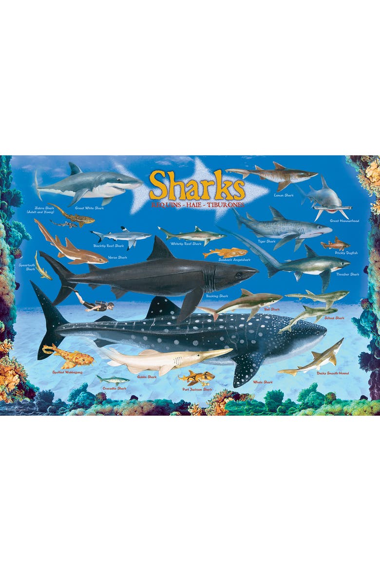 Shark Chart Puzzle, 100 Pieces, Alternate, color, Multicolored