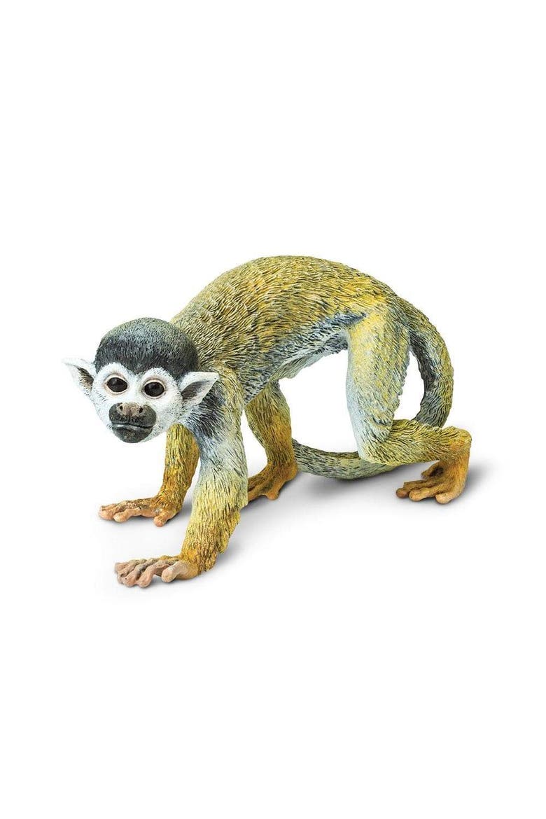 Squirrel Monkey Toy, Main, color, No Color