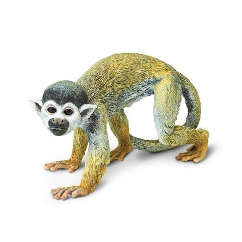 Squirrel Monkey Toy