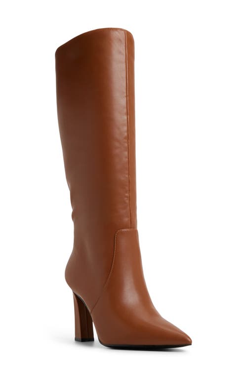 Aldo Nathalee Pointed Toe Knee High Boot In Brown