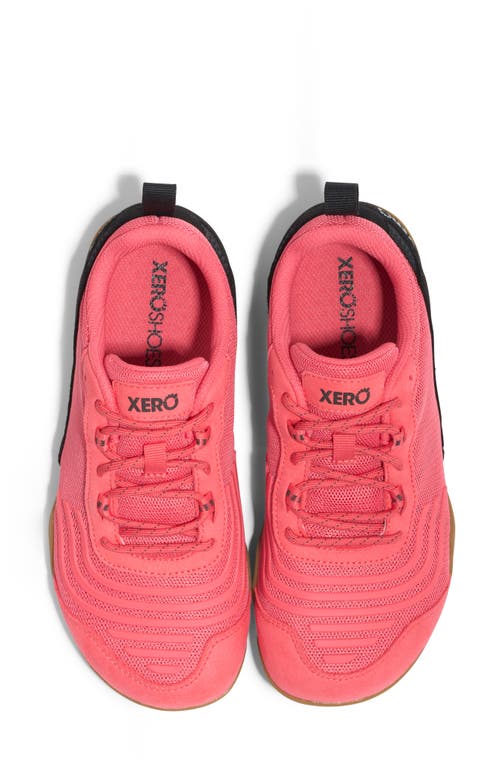 Xero Shoes 360° Cross Training Shoe