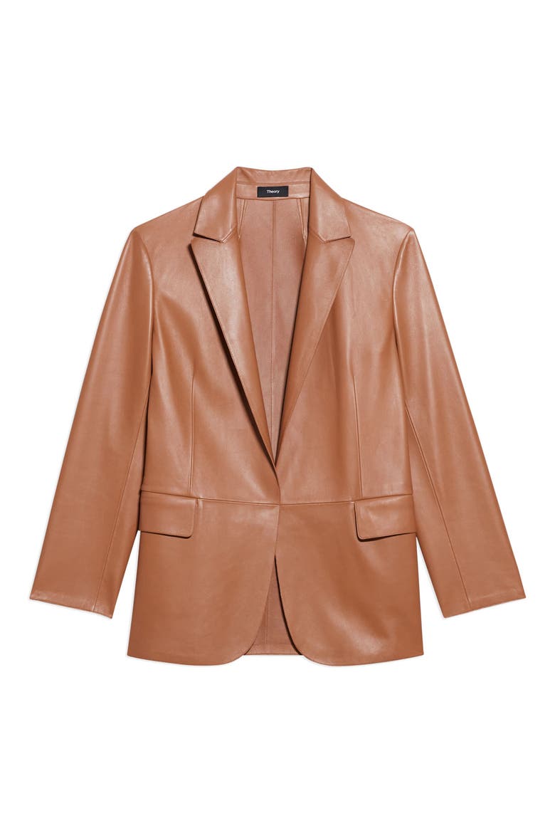 Relaxed Leather Jacket, Alternate, color, CHESTNUT