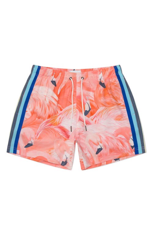 MAVRANS Flamingo Performance Swim Trunks in Pink  product