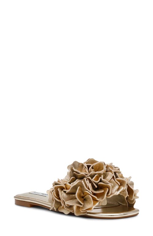 Shop Steve Madden Flo Slide Sandal In Gold