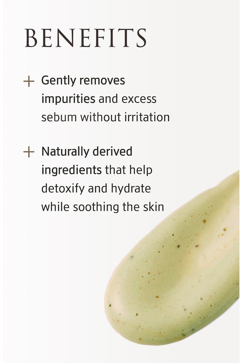 Whole Plant Effect Foam Cleanser, Alternate, color, NO COLOR