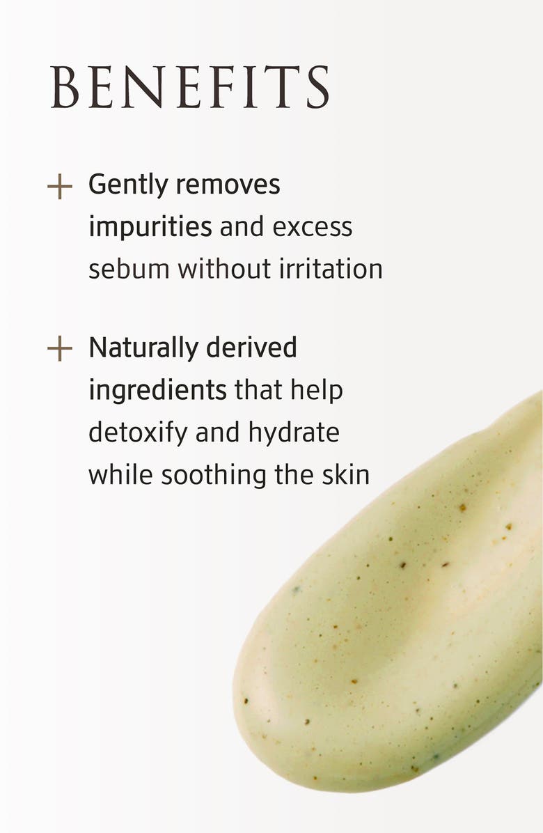 YUNJAC Whole Plant Effect Foam Cleanser, Alternate, color, 