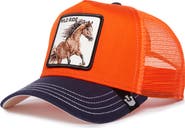 Goorin Bros. The Wild Ride Horse Trucker Hat