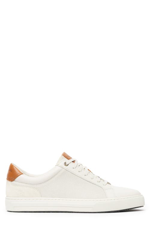 Rodd & Gunn Transit Sneaker In Chalk