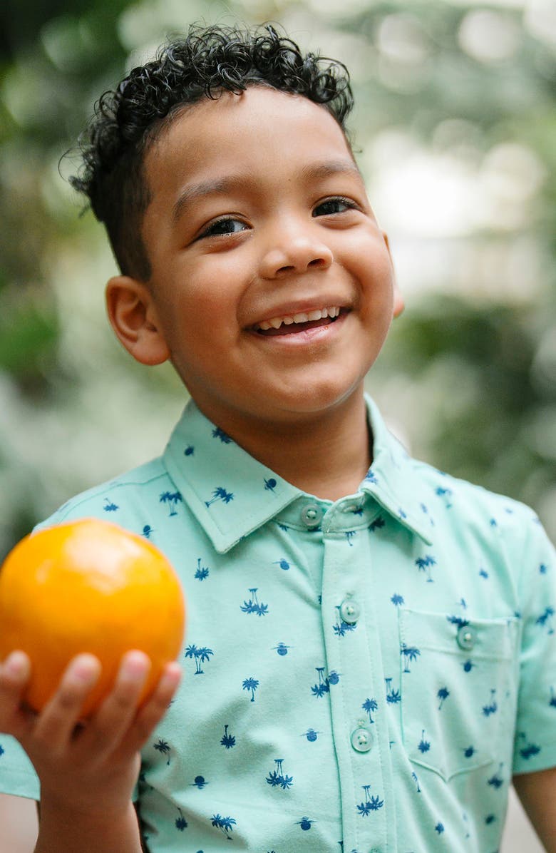 Hope & Henry Kids' Organic Short Sleeve Jersey Knit Shirt, Alternate, color, Tidal Palm Print