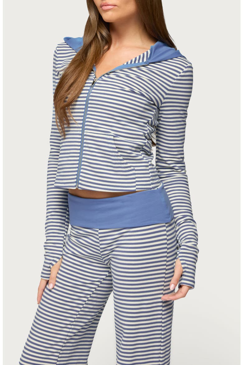Meggy Colorblock Stripe Zip Hoodie, Alternate, color, LIGHT-BLUE-AND-WHITE