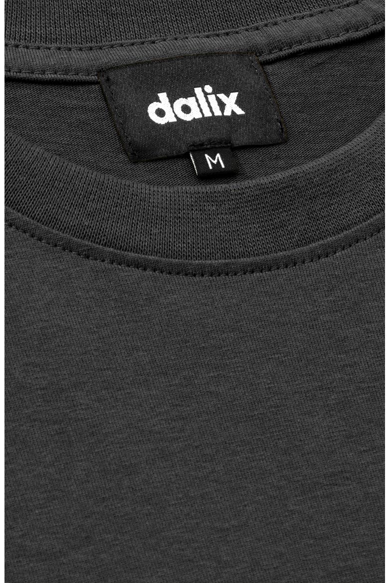 Mens Alien Heavyweight Tee, Alternate, color, Charcoal Htr