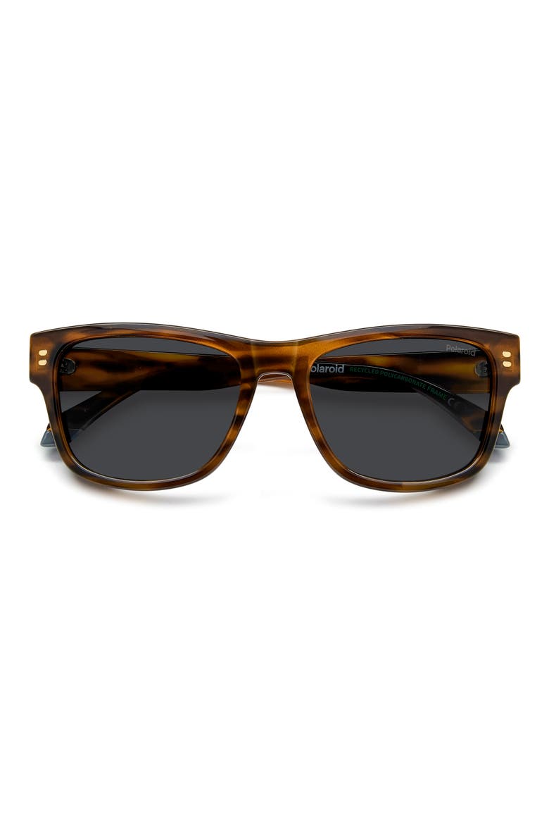 55mm Polarized Square Sunglasses, Main, color, HAVANA ORANGE/ GREY PZ