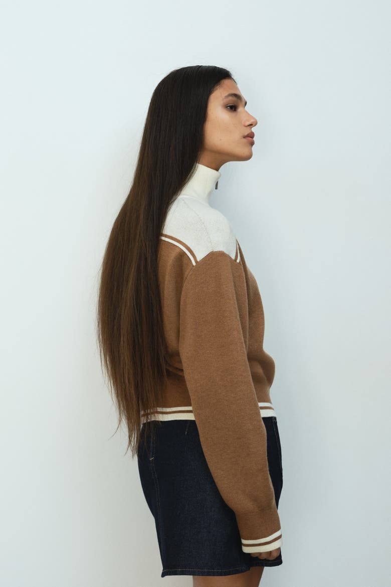 Zip-through Cardigan, Alternate, color, Dark beige/color block