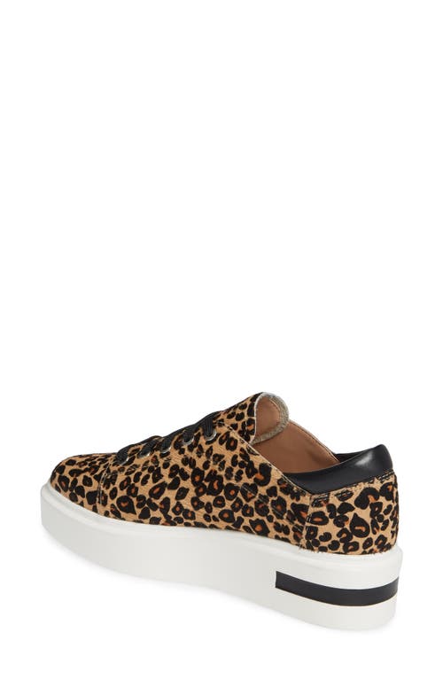 Shop Linea Paolo Kendra Platform Sneaker In Leopard Print Calf Hair