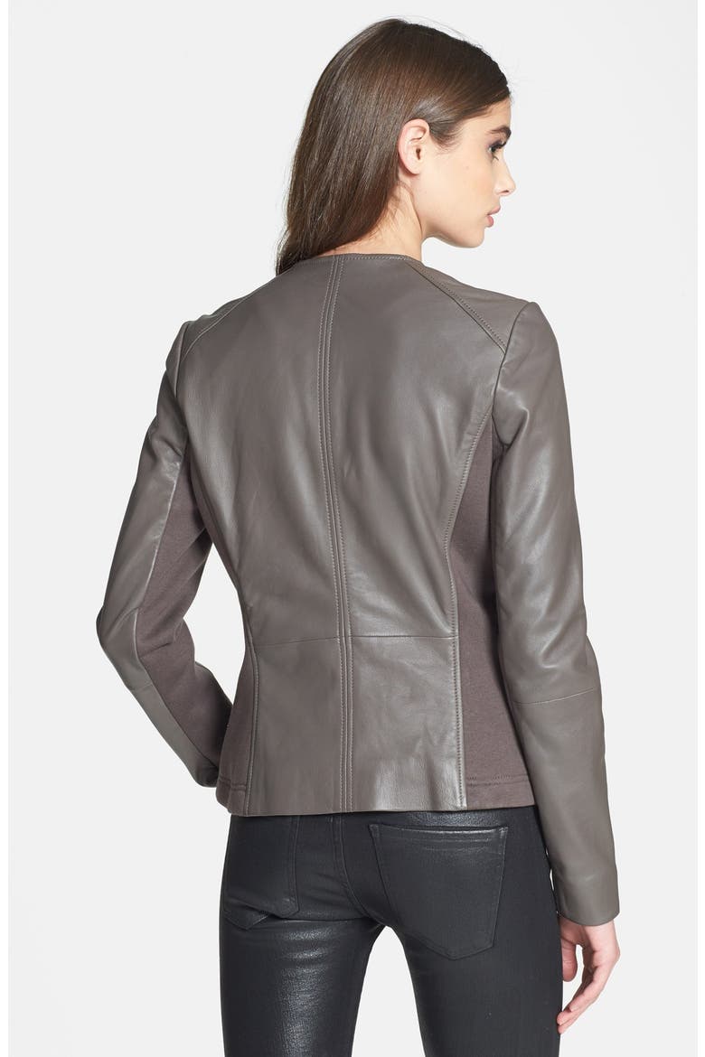 Collarless Leather Jacket, Alternate, color, TAUPE- DUSK