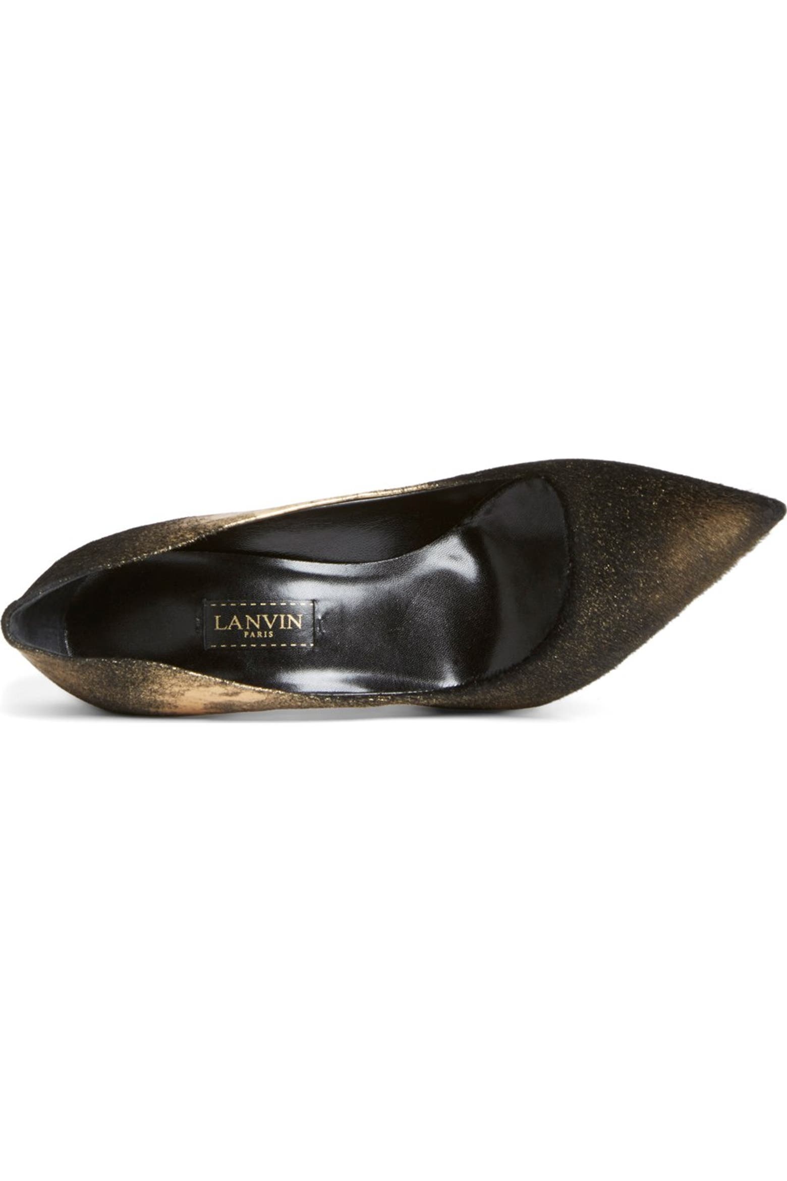 Toe Dusting Lanvin 'Basic' Pointy-Toe Pump (Women) | Nordstrom