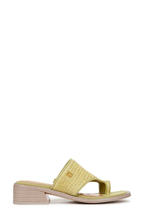 Shop Franco Sarto Sia Slide Sandal In Green