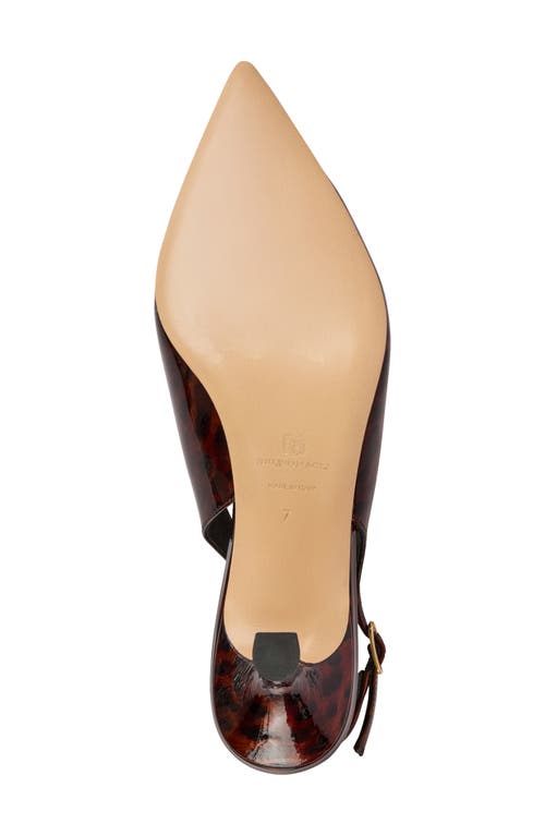 Bruno Magli Palerma Pointed Toe Kitten Heel Slingback Pump In Brown