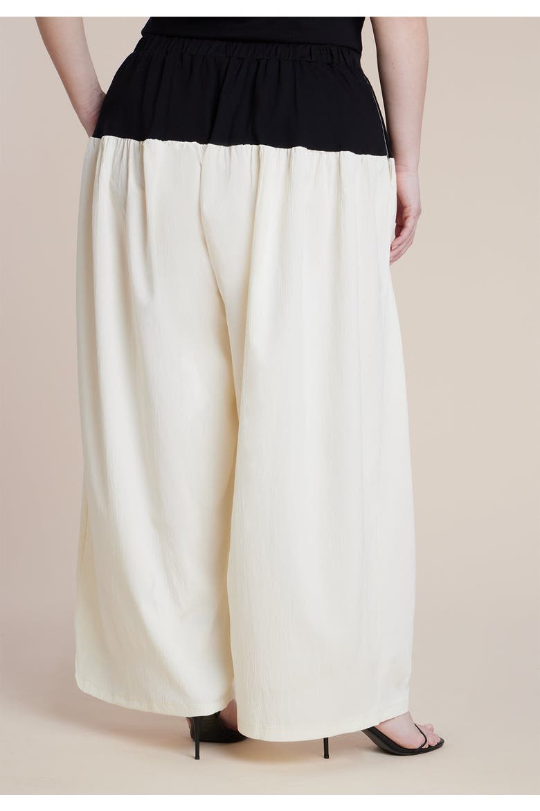 Colorblocked Wide Leg Pant, Alternate, color, BLACK AND WHITE