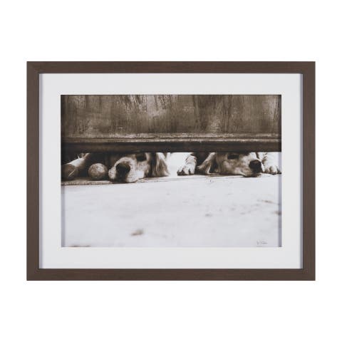 We See You Dogs by Jim Dratfield Framed Photo Print under Glass