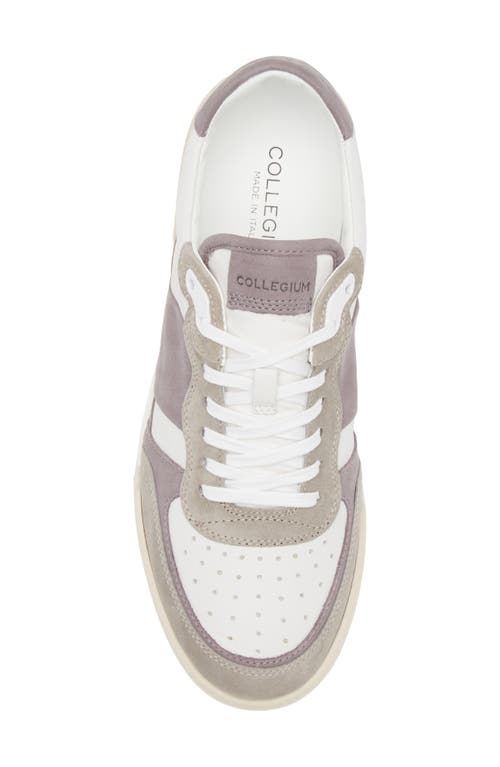 Collegium Pillar Destroyer Ii Sneaker In Multi