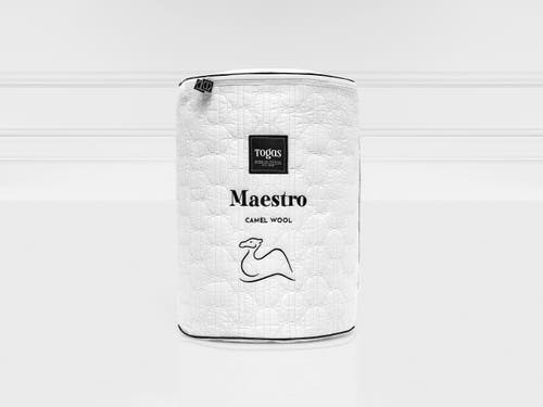 Togas Maestro Camel Wool Comforter In White