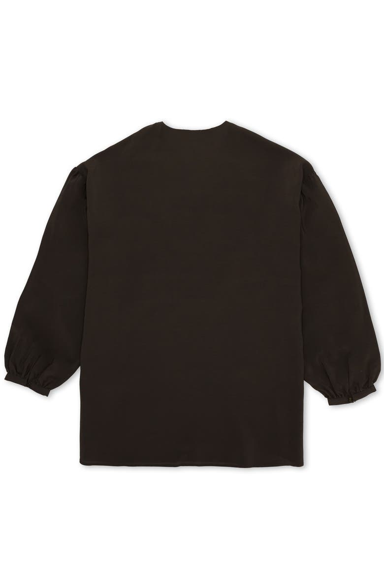 Fortela Allegras Embroidered Silk Crepe Blouse, Alternate, color, Brown