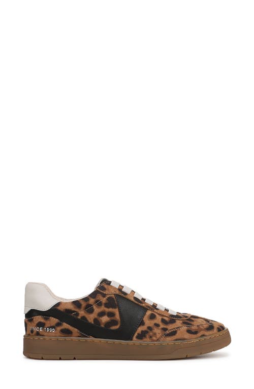 Franco Sarto Ponti Sneaker In Brown